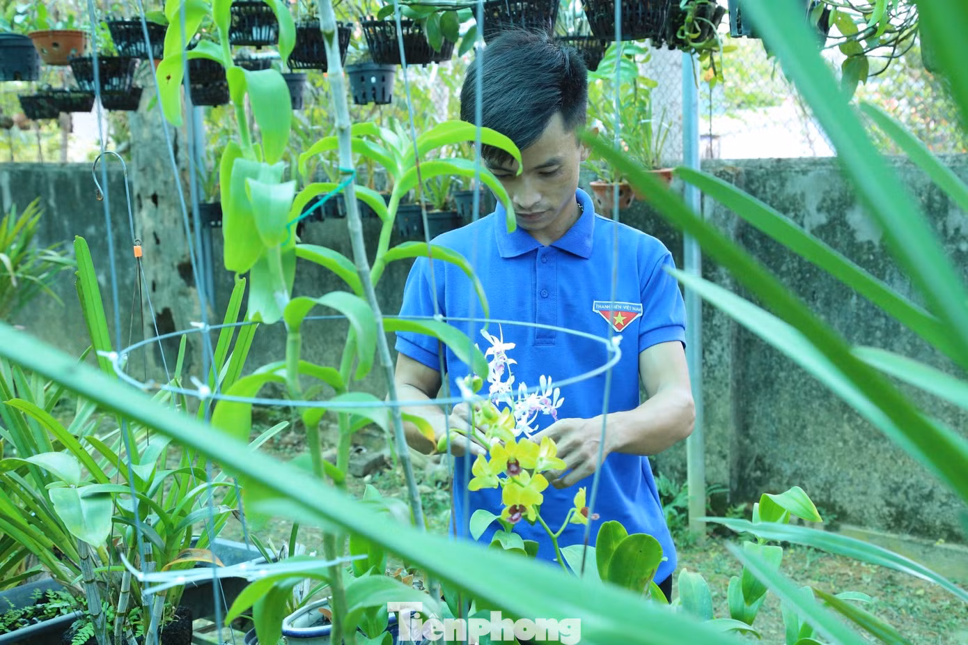 Lô Văn Bình bên những giò lan rừng Lô Văn Bình bên những giò lan rừng