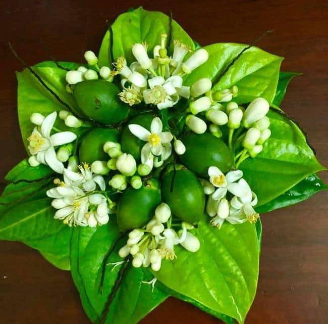 Những đĩa trầu cau được bày biện khá đẹp mắt Những đĩa trầu cau được bày biện khá đẹp mắt