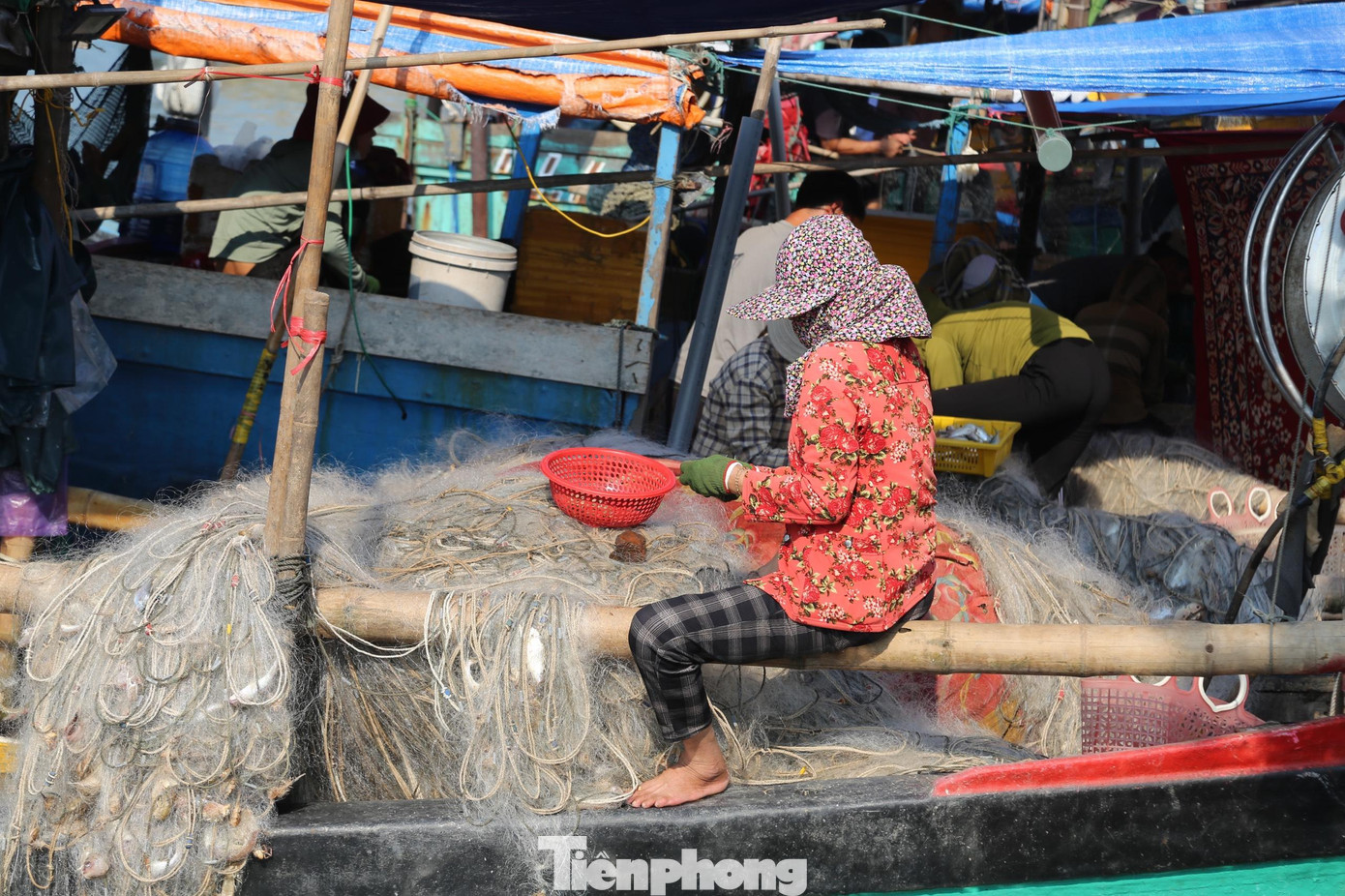 Thuyền vừa cập bến, những người phụ nữ thoăn thoắt gỡ ghẹ, tôm, cá vướng lưới mà không làm gãy càng hay tróc vảy, bể bụng.