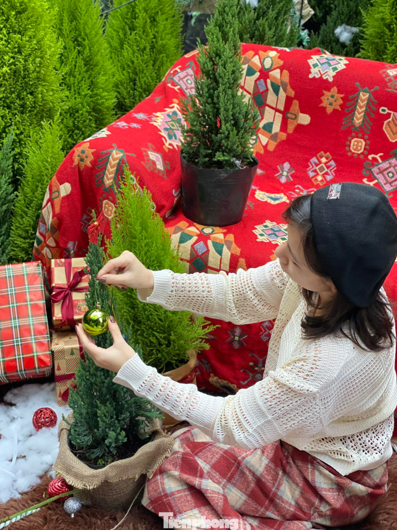 Kinh doanh mặt hàng cành thông tươi nhập khẩu đã 3 năm song năm nay, khi giá thông tươi tăng, chị Tú Dung (trú phường Quán Bàu, TP Vinh) chuyển sang kinh doanh cây tùng thơm, sơn tùng. “Vào mùa Giáng sinh, đơn hàng cây cảnh đặt mua online “nổ” liên tục, trong đó cây tùng thơm có kích thước nhỏ 60-80cm, trang trí vỏ cây khô, chuông, quả ngọc, quả thông… bán với giá 80.000 - 100.000 đồng được ưa chuộng. Chỉ tính gần nửa tháng qua, tôi đã bán được khoảng 400 cây tùng thơm các kích cỡ”, chị Dung chia sẻ.