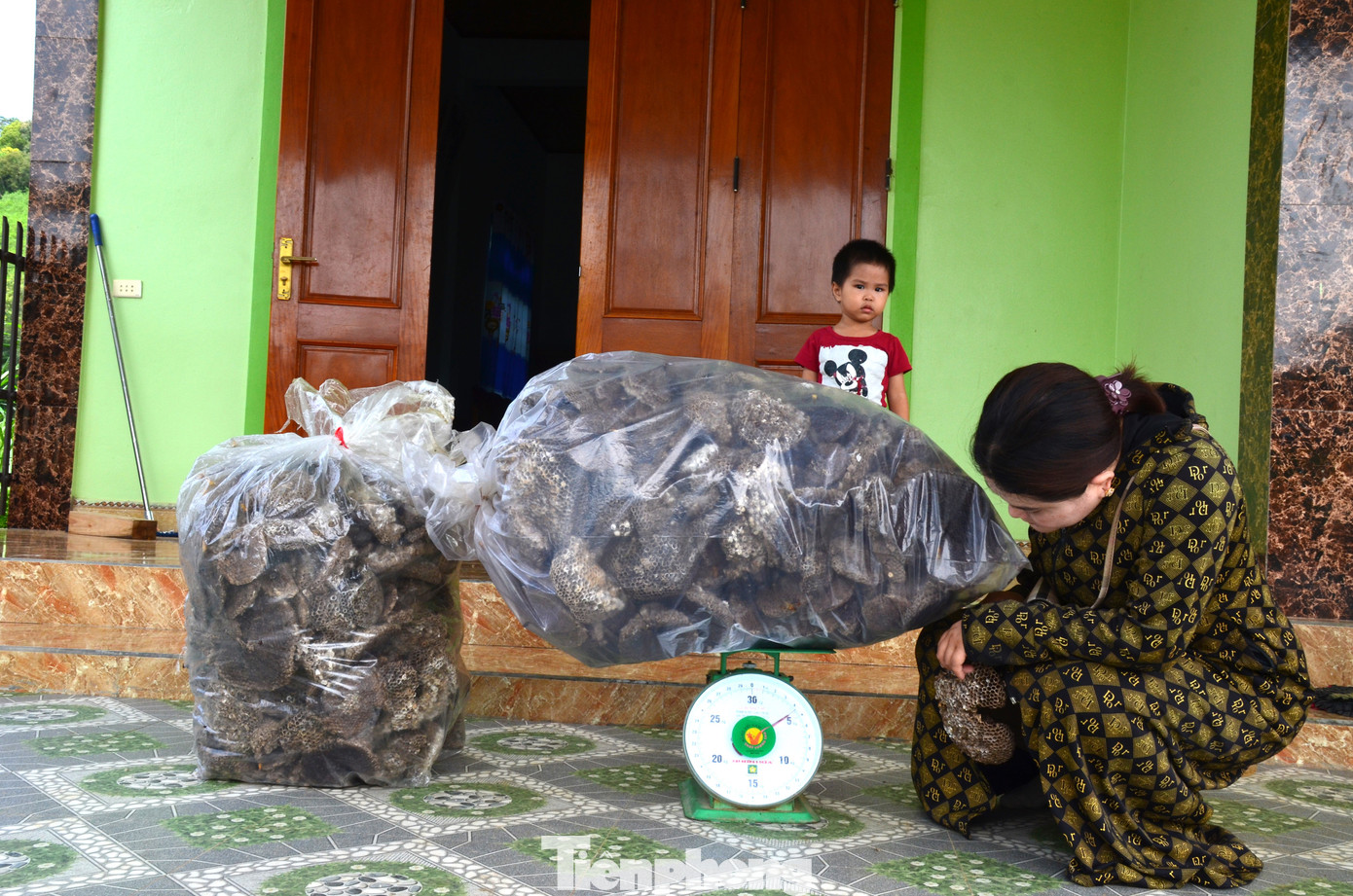 “Khoảng một tháng nay, vài người quen có nhờ tìm gom sáp ong vàng để đem ra các tỉnh phía Bắc tiêu thụ. Mỗi ngày, tôi đi tìm ở các bản làng cũng gom về được từ 5 - 7kg sáp ong. Đến nay, tôi đã gom được khoảng 50 kg sáp ong vàng. Giá thu mua sáp ong vàng là 1 triệu đồng/kg, cao hơn nhiều so với nhộng ong. Hiện, giá thu mua nhộng ong vàng đã được làm sạch là 350.000 đồng/kg, mua theo tổ có giá 300.000 đồng/kg", chị Nhung cho hay. “Khoảng một tháng nay, vài người quen có nhờ tìm gom sáp ong vàng để đem ra các tỉnh phía Bắc tiêu thụ. Mỗi ngày, tôi đi tìm ở các bản làng cũng gom về được từ 5 - 7kg sáp ong. Đến nay, tôi đã gom được khoảng 50 kg sáp ong vàng. Giá thu mua sáp ong vàng là 1 triệu đồng/kg, cao hơn nhiều so với nhộng ong. Hiện, giá thu mua nhộng ong vàng đã được làm sạch là 350.000 đồng/kg, mua theo tổ có giá 300.000 đồng/kg", chị Nhung cho hay.