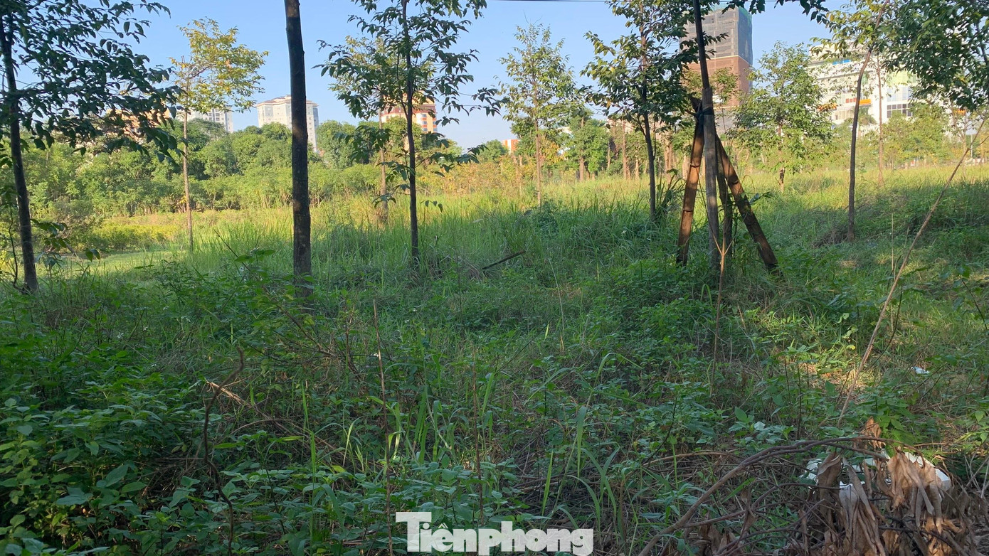 Tại vị trí này, năm 2005 được thu hồi để quy hoạch xây dựng khu hành chính tập trung tỉnh Nghệ An, quy hoạch xây dựng gồm hai khối tháp vươn cao 27 tầng với tổng khái toán dự kiến là 2.178 tỉ đồng. Công trình được xây dựng theo hình thức xây dựng - chuyển giao (BT). Tuy nhiên, thực hiện ý kiến chỉ đạo của Thủ tướng Chính phủ về tạm dừng quy hoạch xây dựng trung tâm hành chính của các địa phương nên tỉnh Nghệ An đã dừng đề án này từ tháng 10/2015 cho đến nay. Tại vị trí này, năm 2005 được thu hồi để quy hoạch xây dựng khu hành chính tập trung tỉnh Nghệ An, quy hoạch xây dựng gồm hai khối tháp vươn cao 27 tầng với tổng khái toán dự kiến là 2.178 tỉ đồng. Công trình được xây dựng theo hình thức xây dựng - chuyển giao (BT). Tuy nhiên, thực hiện ý kiến chỉ đạo của Thủ tướng Chính phủ về tạm dừng quy hoạch xây dựng trung tâm hành chính của các địa phương nên tỉnh Nghệ An đã dừng đề án này từ tháng 10/2015 cho đến nay.