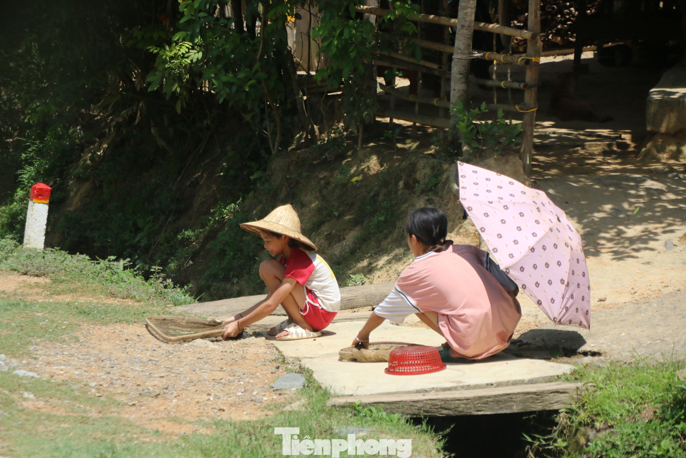 Những ngày này, đi dọc Tỉnh lộ 543B đoạn qua huyện miền núi Tương Dương, Nghệ An, không khó bắt gặp hình ảnh người dân, các em nhỏ ngồi hai bên vệ đường dùng vợt để bắt những con bướm có màu sắc sặc sỡ.