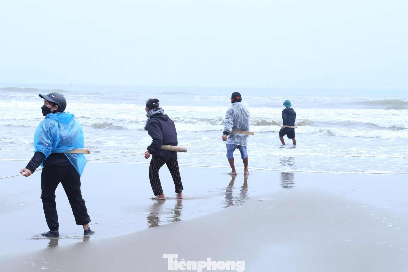 Người dân kéo cá sẽ mang dây thừng thắt vào lưng để tạo lực, sau đó cùng đi lùi về phía sau kéo lưới vào bờ. Mỗi người sẽ đứng cách nhau khoảng 2-3m, đi theo từng nhịp bước để hợp sức. Người dân kéo cá sẽ mang dây thừng thắt vào lưng để tạo lực, sau đó cùng đi lùi về phía sau kéo lưới vào bờ. Mỗi người sẽ đứng cách nhau khoảng 2-3m, đi theo từng nhịp bước để hợp sức.
