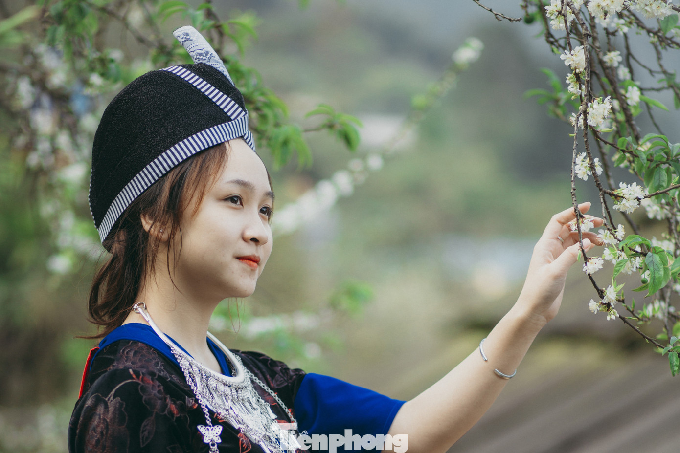 Một bạn trẻ vượt quãng đường 300km từ thành phố Vinh lên Mường Lống để chụp ảnh bên vườn mận.