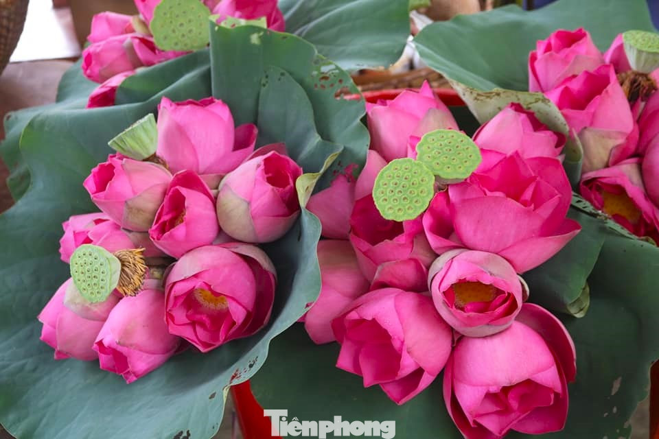 Sen sau khi thu hoạch được phân loại, những bông hoa đẹp nhất, còn tươi sẽ được gói bằng lá sen bán cho du khách. Số còn lại được bán lại cho hợp tác xã Sen quê Bác để sản xuất các sản phẩm từ sen.