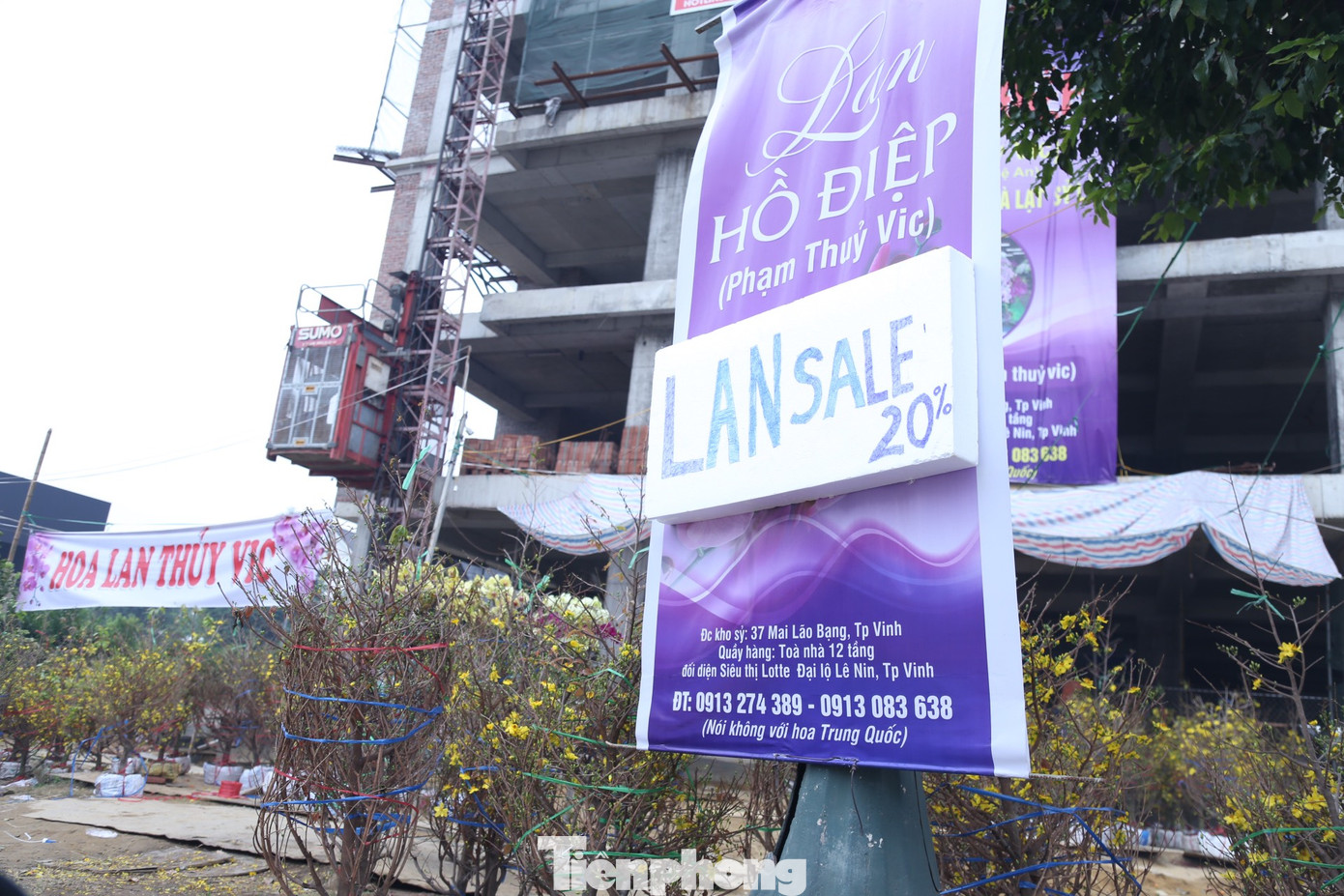 Một gian hàng bán hoa lan áp dụng giảm giá 20% với hy vọng lãi ít nhưng bán được nhiều hàng để tránh gặp cảnh 30 Tết phải “bán tống bán tháo”.