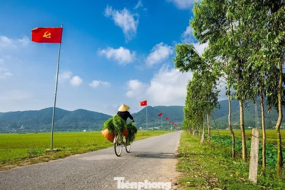 Con đường rợp lá cờ đỏ sao vàng Tổ quốc tung bay phấp phới