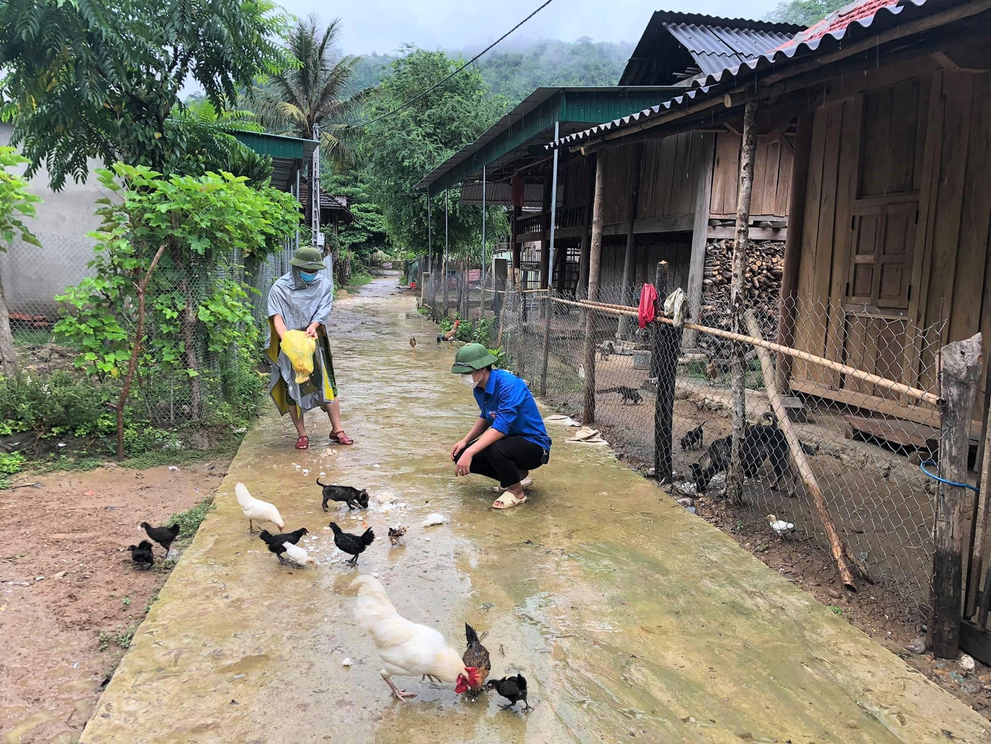 Người cán bộ Đoàn chăm sóc đàn gà của bà con trong bản
