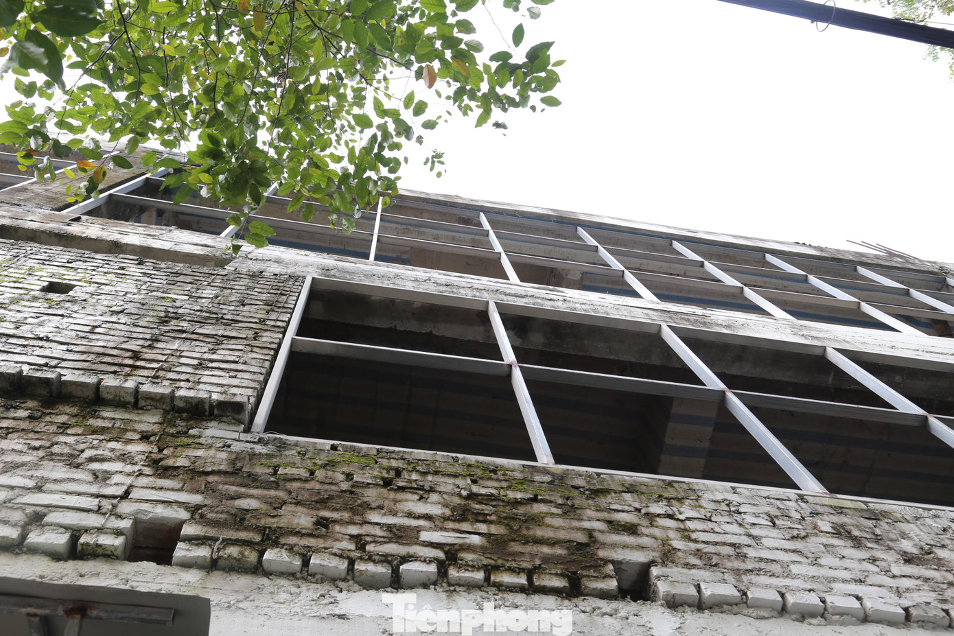 Đoàn kiểm tra liên ngành của tỉnh Nghệ An kiểm tra đã chỉ ra những vi phạm của chủ đầu tư như: Đã được cấp giấy chứng nhận đầu tư từ năm 2010, nhưng mãi đến năm 2014 Oceanbank vẫn chưa thực hiện nghĩa vụ thuế để được giao đất, cho thuê đất theo quy định của pháp luật; chưa được thẩm duyệt thiết kế bản vẽ thi công, thiết kế cơ sở và chưa được cấp giấy phép xây dựng…