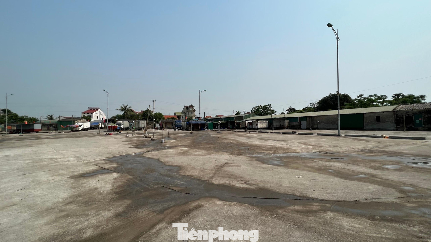 Trong khi nhà phân loại hải sản bỏ hoang thì hải sản từ tàu thuyền của ngư dân sau khi cập cảng lại được vận chuyển sang khu vực bến cá tư nhân nằm cách đó khoảng 100m.