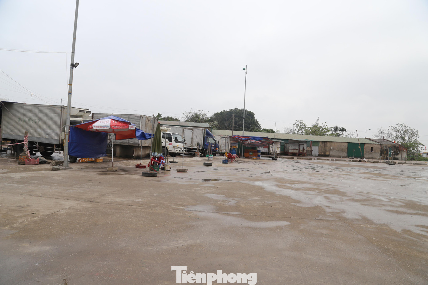 Phía ngoài cũng "chịu" cảnh đìu hiu.