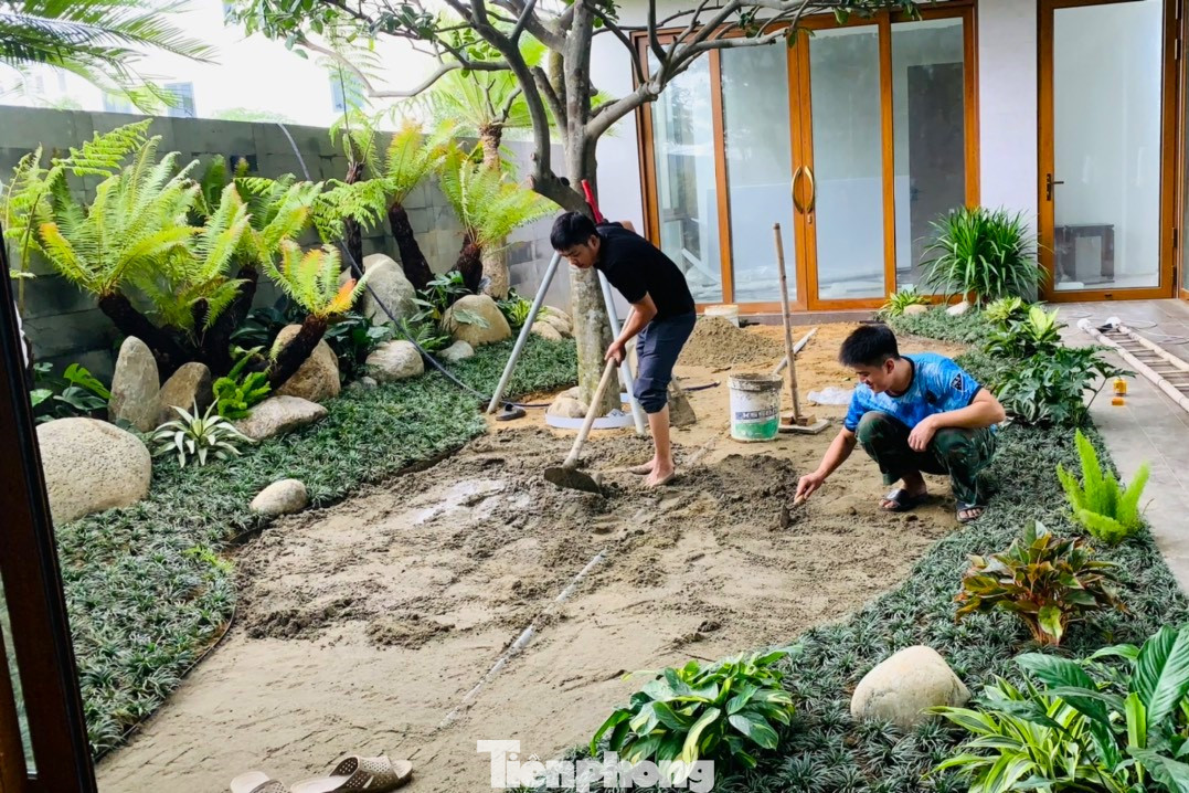 “Thi công sân vườn, tiểu cảnh không thể làm ẩu, làm nhanh. Ngoài đảm bảo cây sống tốt, sống khoẻ thì phải đẹp, hợp lý và mang dấu ấn riêng. Thời điểm giáp Tết, nhu cầu người làm sân vườn, tiểu cảnh tăng cao, tôi phải thuê 10 thợ làm tăng ca cả ngày lẫn đêm để kịp bàn giao cho khách”, anh Ba nói.