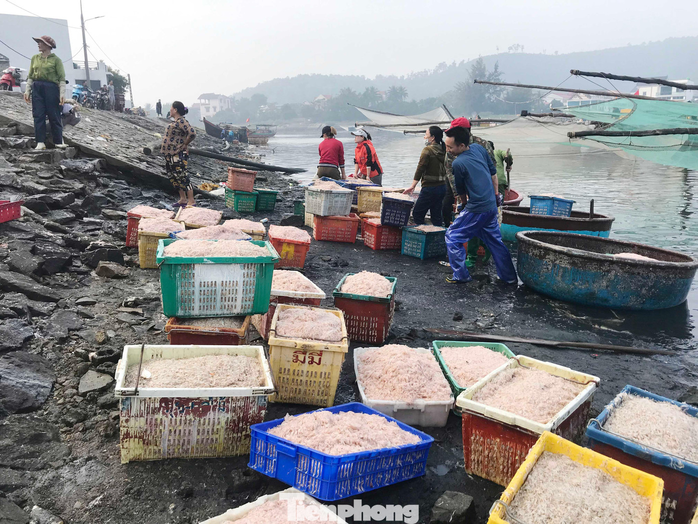 Theo anh Hưng, công việc đánh bắt ruốc nhìn dễ dàng nhưng cũng không kém phần nguy hiểm. Người đánh bắt đòi hỏi phải quan sát kĩ và nắm bắt được thời cơ thả lưới.