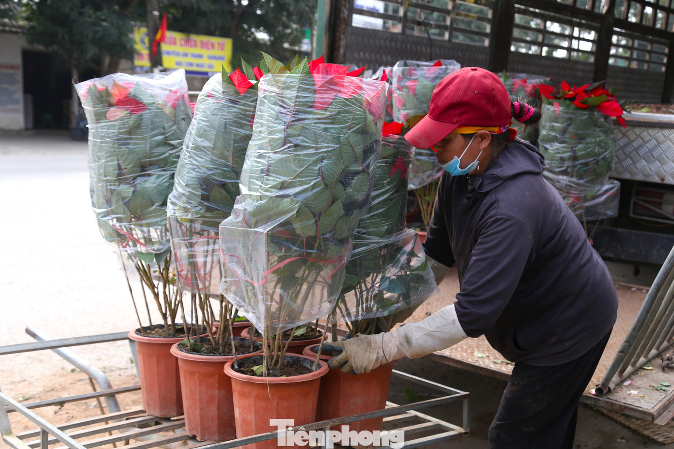 Những người phụ nữ đeo găng tay, bịt khẩu trang và đi ủng để làm việc suốt một ngày dài.
