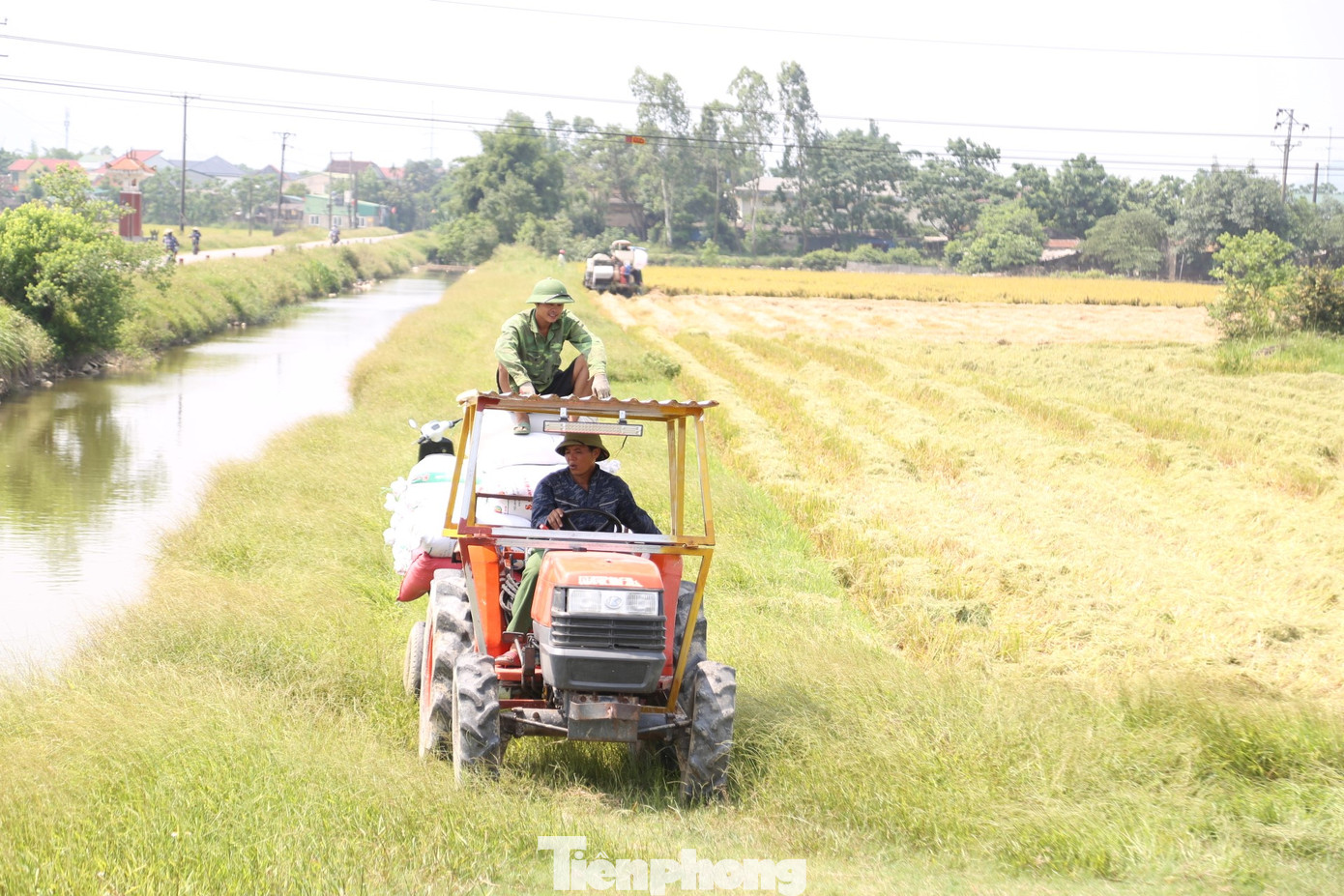 Dịch vụ “đưa lúa về nhà” thuận tiện, giá cả hợp lý nên người dân gần như không còn sử dụng các phương tiện thô sơ nữa. Dịch vụ “đưa lúa về nhà” thuận tiện, giá cả hợp lý nên người dân gần như không còn sử dụng các phương tiện thô sơ nữa.