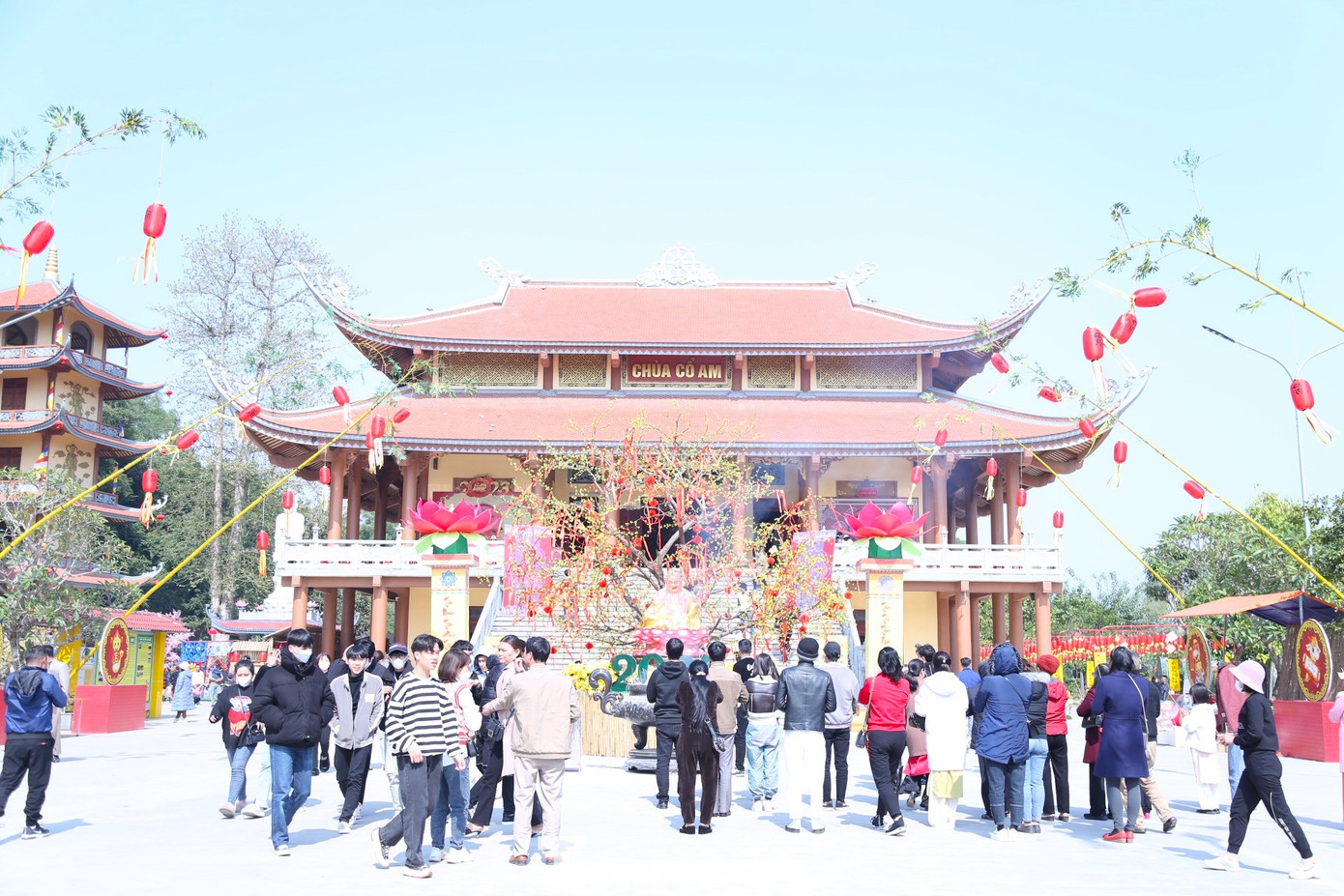 Chùa Cổ Am (xã Minh Châu, huyện Diễn Châu, Nghệ An) được xây dựng vào thời Hậu Lê (từ thế kỷ XV). Trải qua hơn 600 năm với nhiều dấu ấn thăng trầm của lịch sử, tháng 12/1994, chùa Cổ Am được Bộ Văn hóa – Thông tin công nhận là di tích lịch sử quốc gia.