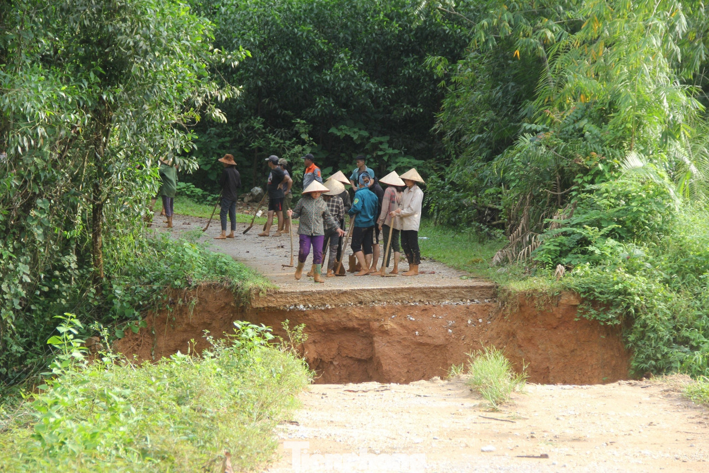 Mưa lớn, nước lũ lên nhanh sáng 27/9 khiến đoạn đường chính vào cụm bản Minh Châu (xã Châu Hạnh, huyện Quỳ Châu, Nghệ An) bị sạt lở, gây chia cắt. Toàn bộ mặt đường dài hơn 10 mét bị gãy đôi, tạo thành một vực lớn có độ sâu khoảng 7 mét. 26 hộ dân với 100 nhân khẩu bị cô lập.