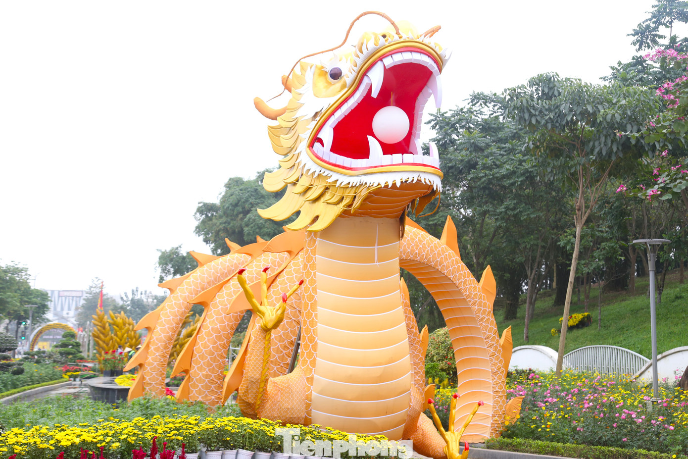 Linh vật rồng có chiều dài 30m, cao khoảng 5m và nặng hơn 2 tấn được các công nhân chế tạo hoàn thiện trong vòng 15 ngày.