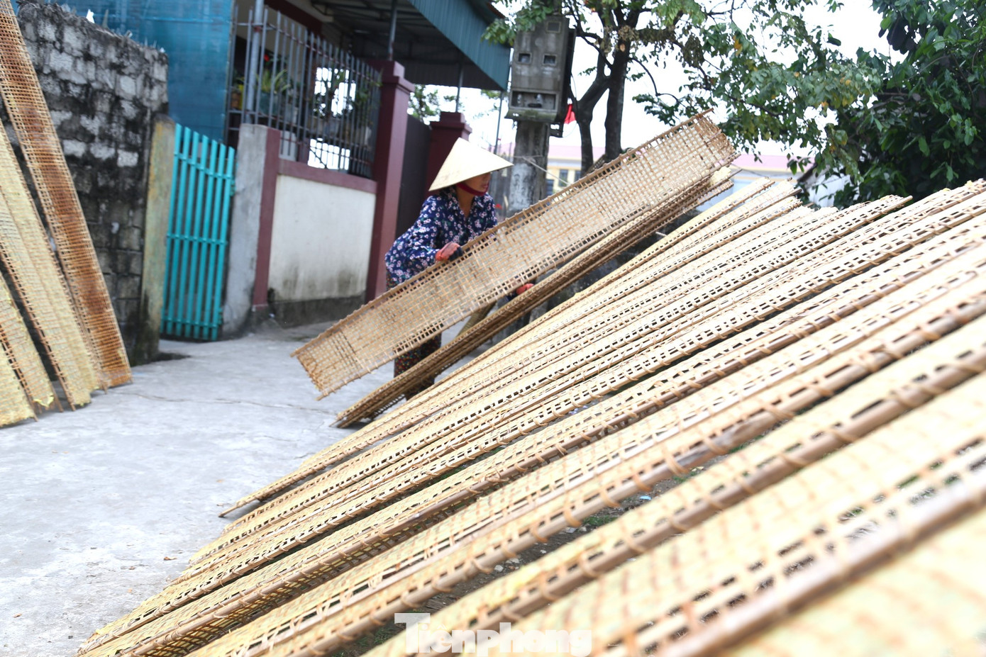 Nghề bánh đa nem đã được UBND tỉnh công nhận là làng nghề truyền thống năm 2012. Toàn xã hiện có 25 hộ sản xuất bánh đa.