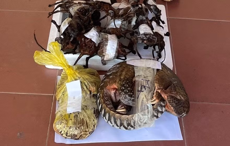 Tang vật vụ án