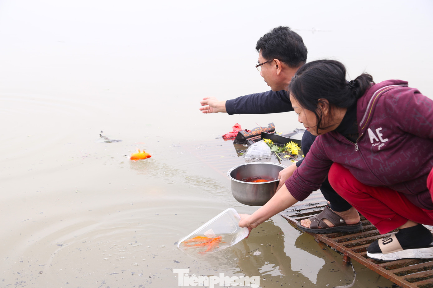 Những chú cá vàng được người dân thả xuống sông Lam vào buổi sáng hôm nay (2/2) tức ngày 23 tháng Chạp.