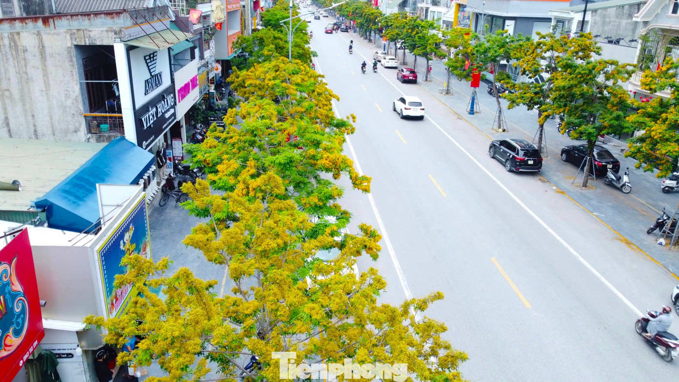 Trong những năm qua, thành phố Vinh đã đầu tư hàng nghìn tỷ đồng để triển khai nhiều dự án chỉnh trang đô thị. Song song với nâng cấp, mở rộng các tuyến đường, thay thế hệ thống thoát nước, hạ ngầm điện chiếu sáng và cáp quang… hệ thống cây xanh cũng được thay thế đồng bộ.