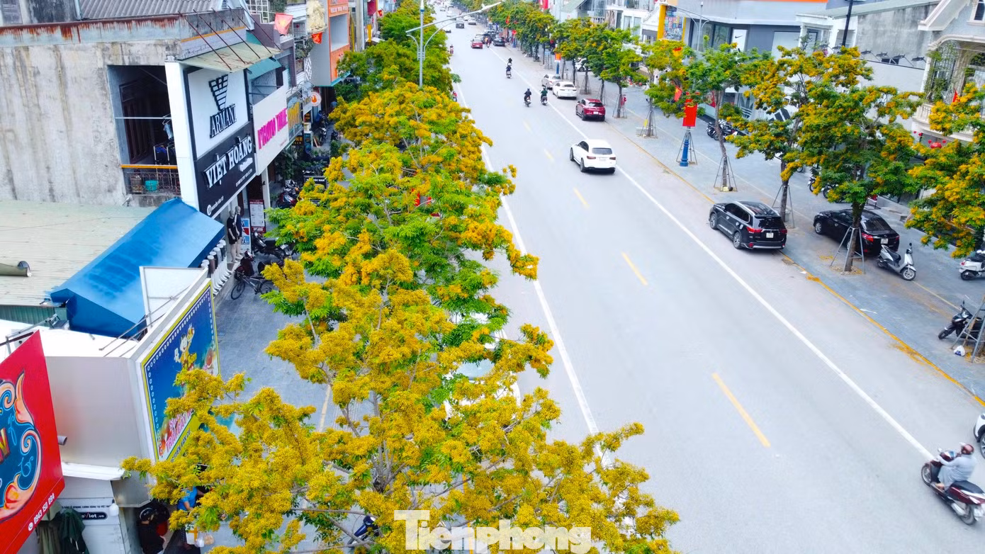 Trong những năm qua, thành phố Vinh đã đầu tư hàng nghìn tỷ đồng để triển khai nhiều dự án chỉnh trang đô thị. Song song với nâng cấp, mở rộng các tuyến đường, thay thế hệ thống thoát nước, hạ ngầm điện chiếu sáng và cáp quang… hệ thống cây xanh cũng được thay thế đồng bộ.