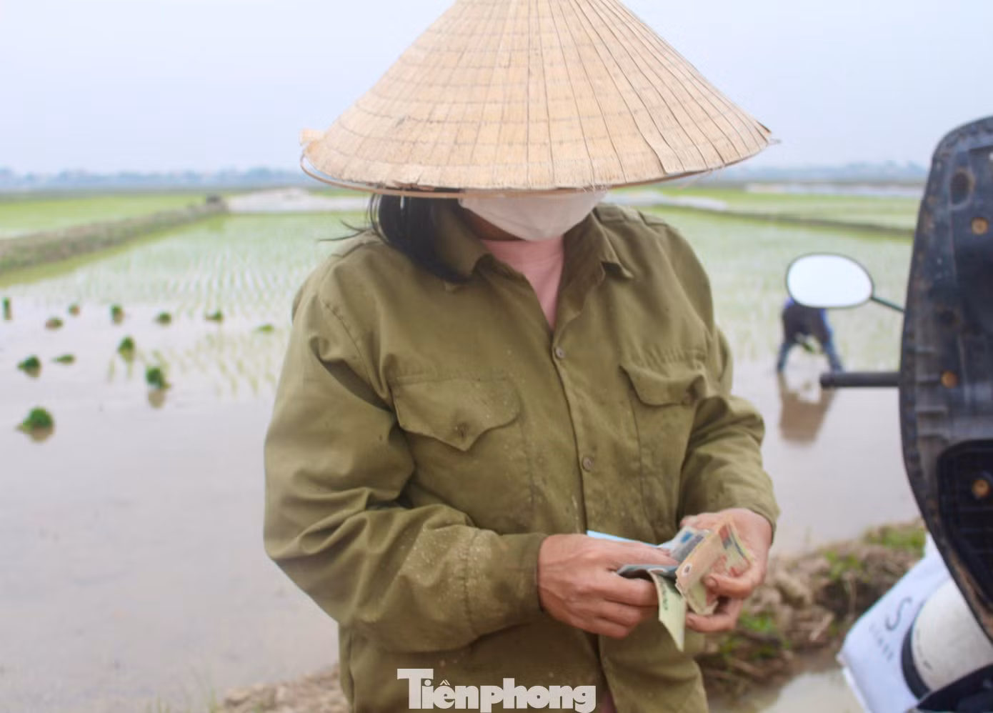 Công việc khá vất vả nhưng nhiều người đã kiếm thêm thu nhập để trang trải cho cuộc sống.