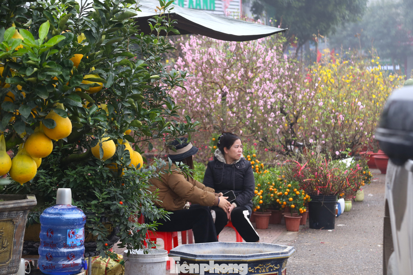 Nhập khoảng 200 gốc đào, quất về bán Tết, chị Nguyễn Thị Hằng, tiểu thương bán hoa, cây cảnh Tết tại Công viên Trung tâm TP Vinh thở dài: “Gần Tết rồi nhưng lượng khách đi xem, mua cây cảnh Tết vẫn rất ít. Thực tế, cũng có người ghé vào xem nhưng rồi lại rời đi. Hai hôm trước mưa kèm gió lạnh, không có khách nào ghé vào xem cây”.