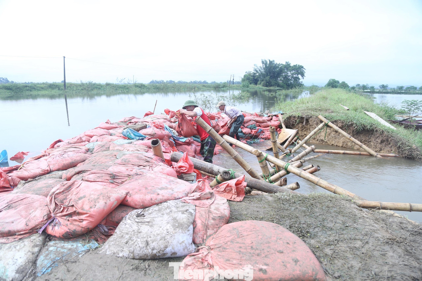 Ông Lê Huy Khoa, Chủ tịch UBND xã Hưng Đạo cho biết: “Đây là tuyến đê xung yếu, bảo vệ cho gần 1.700 hộ dân (khoảng 6.000 nhân khẩu), cùng 400ha cây trồng trên địa bàn xã và các địa phương lân cận. Mùa mưa bão hàng năm, đê kênh thấp này bị tràn nước liên tục, gây ngập úng. Năm nay nước dâng lên nhanh, chảy xiết nên vỡ đê. Hơn 300 người dân cùng các lực lượng công an, bộ đội xuyên đêm vá đê. Hiện, chính quyền địa phương đã cắt cử lực lượng túc trực 24/24h tại tuyến đê, báo cáo và xử lý kịp thời nếu xảy ra sự cố.