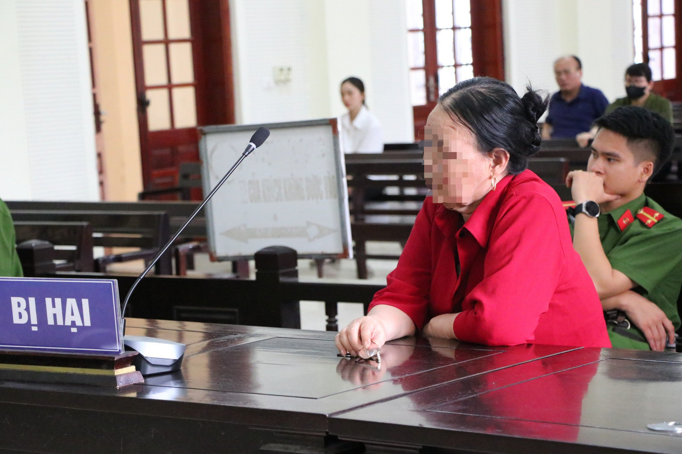 Bà T. xin tòa "giảm hết cấp", không phạt tù Dũng