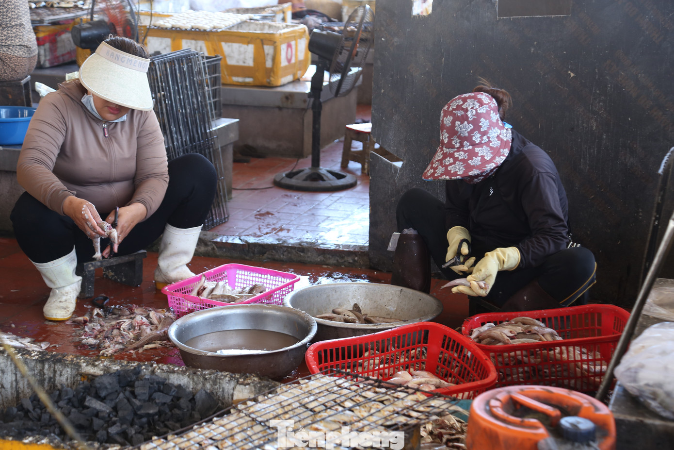 Cá tươi được làm sạch, nướng ngay tại cảng.