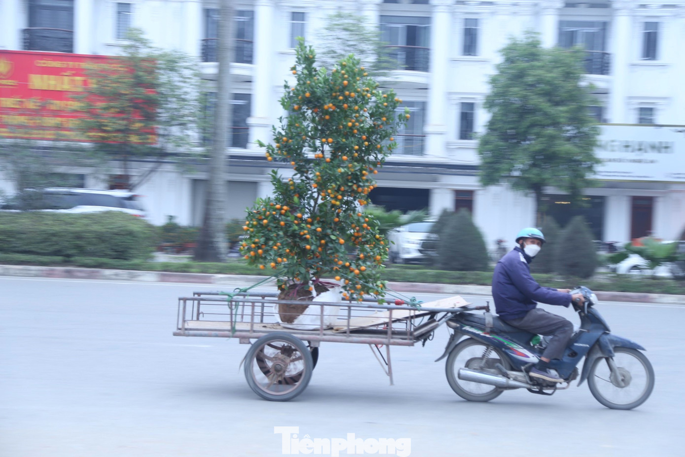 Những chuyến xe mang sắc xuân đến các gia đình.