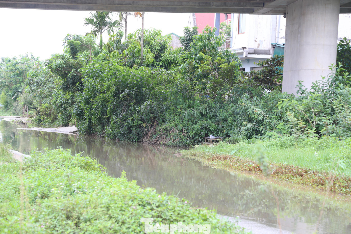 Hai đầu tuyến đường chưa thông, hệ thống mương thoát nước chưa kết nối dẫn đến tình trạng ngập úng kéo dài.