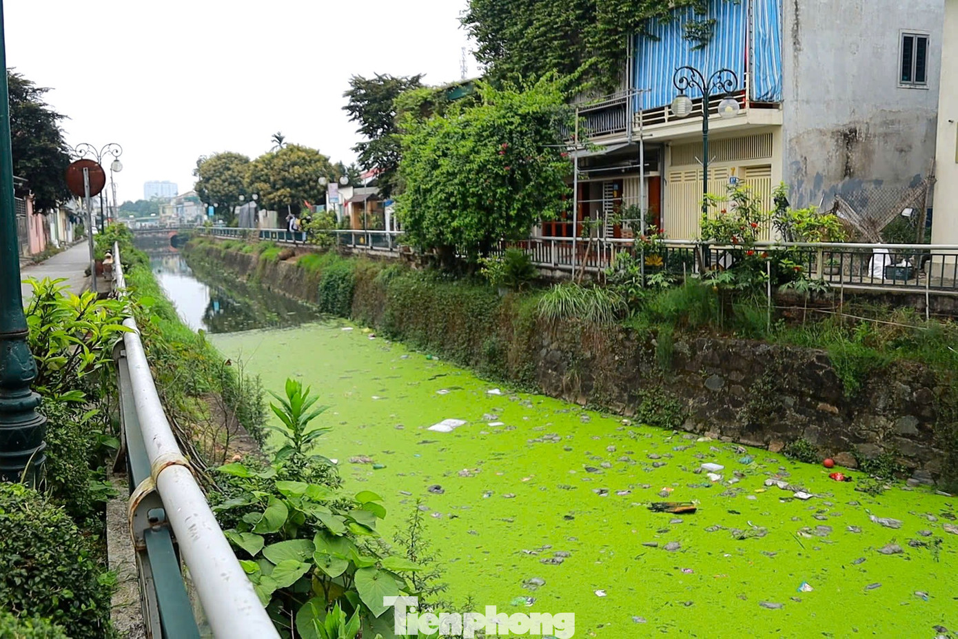 Dự án cải tạo hào thành cổ Vinh được kỳ vọng sẽ cải thiện môi trường, tạo diện mạo mới cho di tích, thế nhưng, tình trạng ô nhiễm ngày càng trở nên trầm trọng hơn.