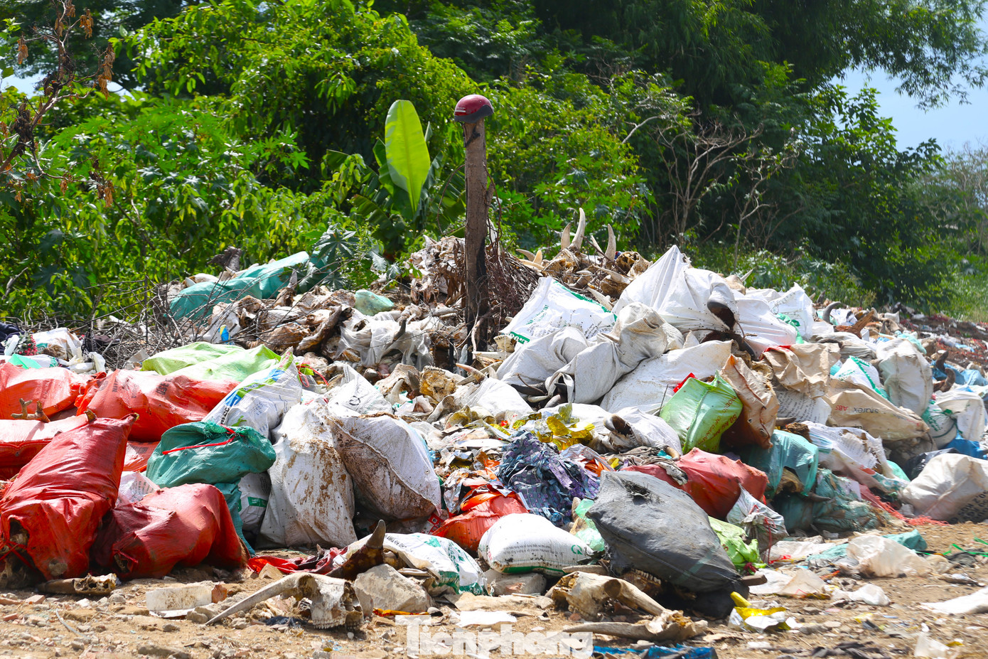 Bãi phế thải luôn bốc mùi hôi thối, ảnh hưởng không nhỏ tới đời sống người dân gần đây, nguy cơ bùng phát dịch bệnh. Để tránh việc gây ô nhiễm môi trường, ảnh hưởng tới cuộc sống người dân, đề nghị các cơ quan chức năng sớm có biện pháp xử lý bãi rác phế phẩm động vật này. Đồng thời cần xử lý nghiêm hành vi vứt, đổ phế phẩm động vật sau giết mổ trái quy định.