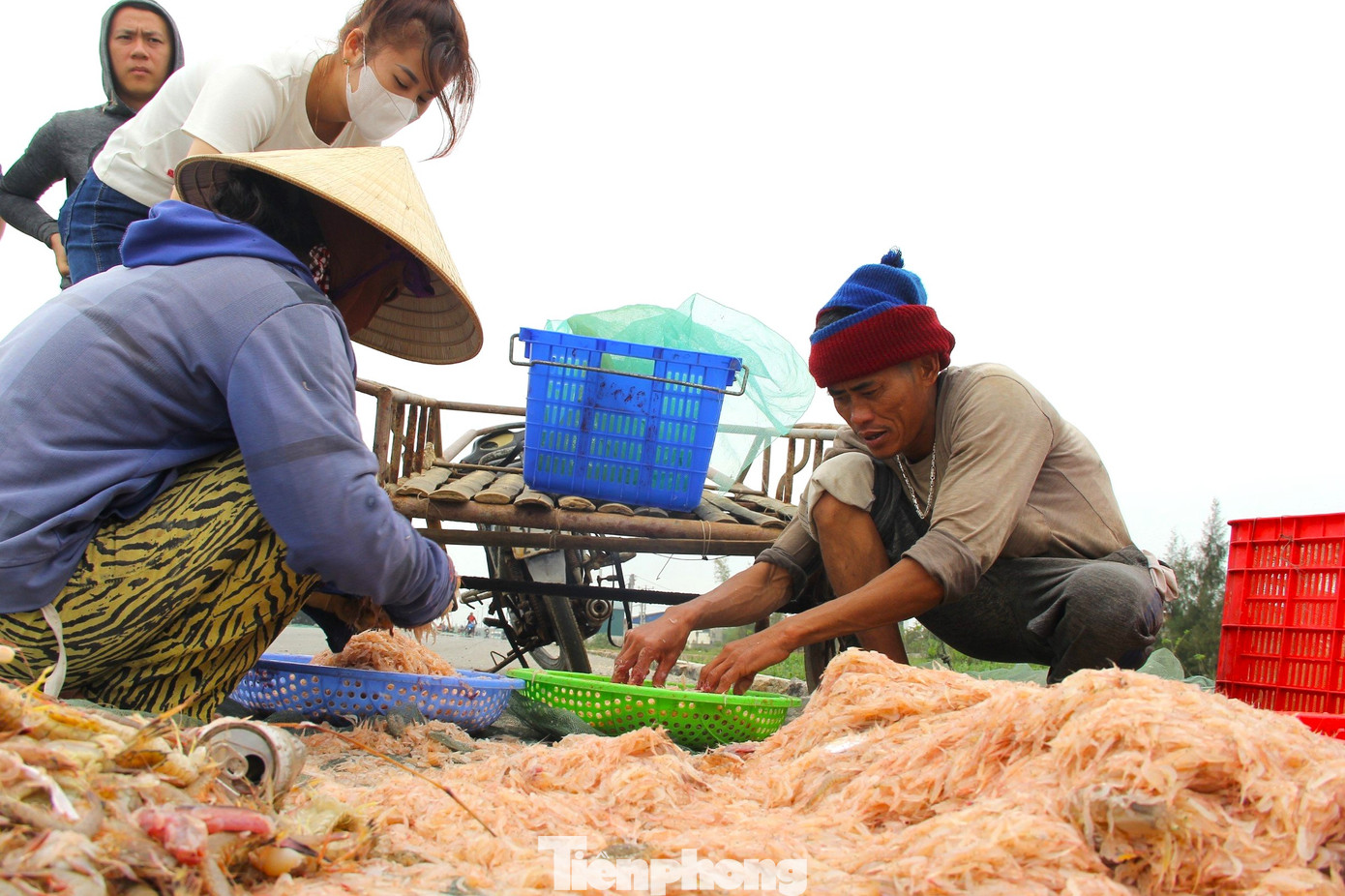 Theo ông Khánh, từ ngày mùng 4 Tết, ông đã vươn khơi đánh bắt được 5 chuyến, trong đó có chuyến thu được hơn 2 triệu đồng sau khi đã trừ chi phí. Theo ông Khánh, từ ngày mùng 4 Tết, ông đã vươn khơi đánh bắt được 5 chuyến, trong đó có chuyến thu được hơn 2 triệu đồng sau khi đã trừ chi phí.