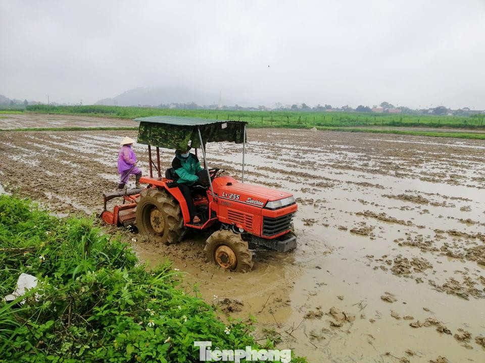Ghi nhận sáng mùng 6 Tết Nguyên đán, trên các cánh đồng lúa huyện Thanh Chương (Nghệ An), từ sáng sớm đã có rất đông bà con nông dân ra thăm đồng đầu xuân năm mới. Khí thế lao động hối hả hứa hẹn một vụ mùa thắng lợi.