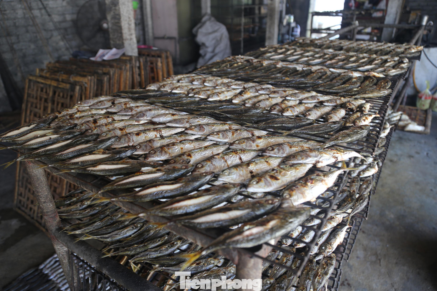 Cá sau khi nướng xong được vận chuyển đến một số đầu mối trong huyện miền núi phía Tây Nghệ An như Quế Phong, Tân Kỳ, Con Cuông,... Các lò lớn vận chuyển cá nướng bằng ô tô của gia đình, các lò nhỏ hơn thì gửi theo xe khách. Cá sau khi nướng xong được vận chuyển đến một số đầu mối trong huyện miền núi phía Tây Nghệ An như Quế Phong, Tân Kỳ, Con Cuông,... Các lò lớn vận chuyển cá nướng bằng ô tô của gia đình, các lò nhỏ hơn thì gửi theo xe khách.