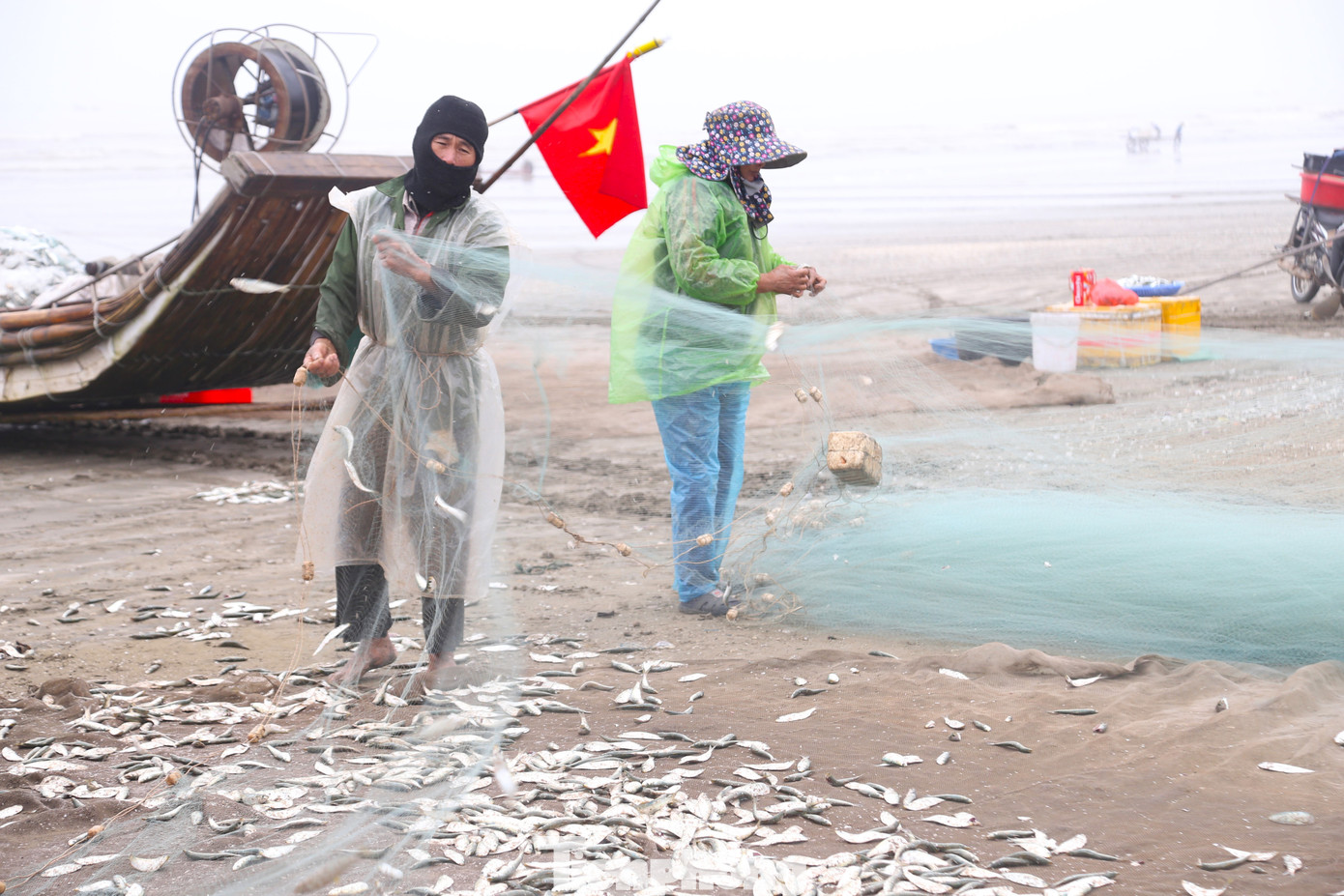 Với ngư dân, đây là “lộc biển” đầu Xuân, báo hiệu một hành trình vươn khơi, bám biển thuận lợi, hanh thông trong cả năm.