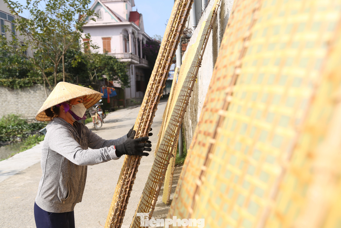 Bánh sau khi làm xong được rải lên những chiếc phên tre, đưa đi phơi.