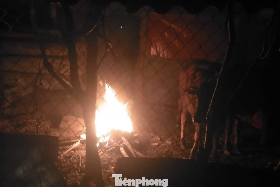 Ông Lang Văn Bán - Giám đốc Trung tâm dịch vụ Nông nghiệp huyện Con Cuông, cho biết: “Toàn huyện hiện có gần 33.000 con trâu, bò. Thời tiết rét đậm, rét hại, chúng tôi đã có các biện pháp khuyến cáo quyết liệt bằng văn bản, đồng thời cử cán bộ nông nghiệp thường xuyên kiểm tra công tác phòng chống đói rét cho trâu bò một cách kịp thời cho bà con nông dân. Triển khai tiêm phòng dịch bệnh đầy đủ. Huyện Con Cuông phấn đấu năm 2023 tăng 1,24 % đàn gia súc góp phần đẩy mạnh phát triển kinh tế nông nghiệp bền vững”.