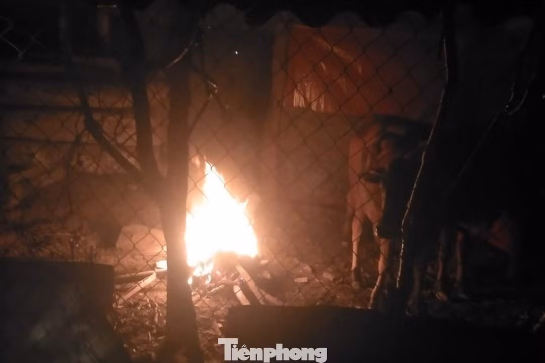 Ông Lang Văn Bán - Giám đốc Trung tâm dịch vụ Nông nghiệp huyện Con Cuông, cho biết: “Toàn huyện hiện có gần 33.000 con trâu, bò. Thời tiết rét đậm, rét hại, chúng tôi đã có các biện pháp khuyến cáo quyết liệt bằng văn bản, đồng thời cử cán bộ nông nghiệp thường xuyên kiểm tra công tác phòng chống đói rét cho trâu bò một cách kịp thời cho bà con nông dân. Triển khai tiêm phòng dịch bệnh đầy đủ. Huyện Con Cuông phấn đấu năm 2023 tăng 1,24 % đàn gia súc góp phần đẩy mạnh phát triển kinh tế nông nghiệp bền vững”.