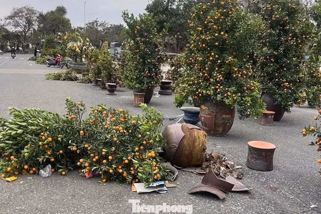 Thời tiết mưa lớn khiến các tiểu thương như đang ngồi trên đống lửa vì lo "mất Tết".