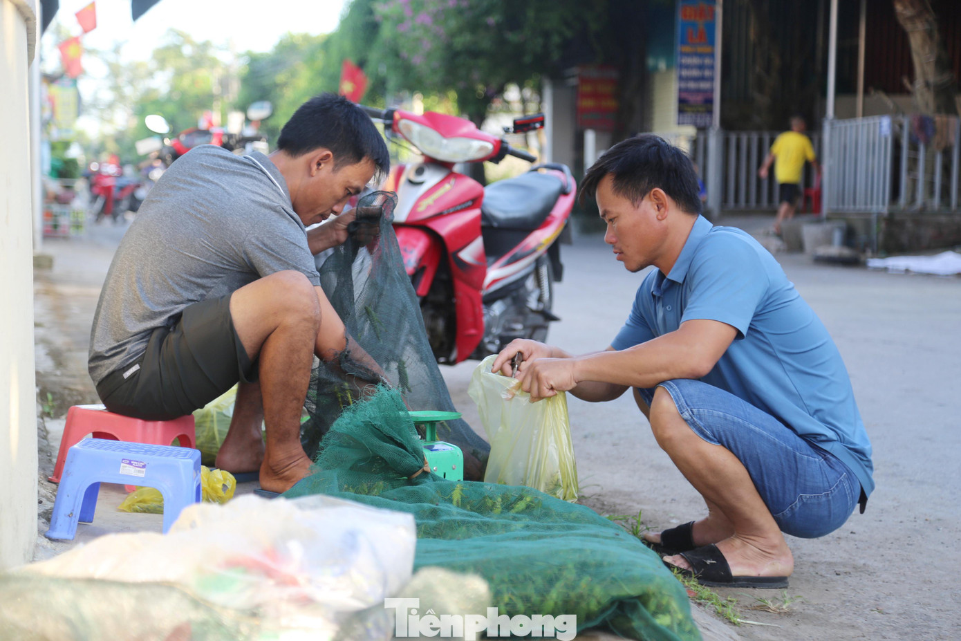 Anh Nguyễn Văn Quân, một thương lái thu mua và bán cào cào ở xã Nghi Kim cho biết, hầu như mùa cào cào nào anh cũng có mặt tại chợ từ sáng sớm, thu mua cào cào các nơi và bán sỉ, bán lẻ cho khách. Mỗi ngày, anh tiêu thụ khoảng 2 tạ cào cào.