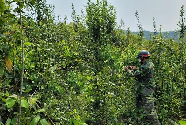 Hiện trường nơi phát hiện thi thể ông C. Hiện trường nơi phát hiện thi thể ông C.
