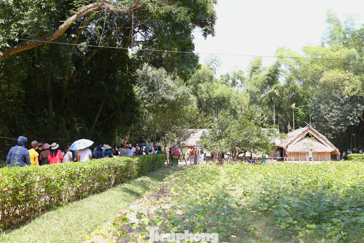 Du khách về thăm nhà Bác tại Làng Sen thuộc Khu di tích quốc gia đặc biệt Kim Liên. Du khách về thăm nhà Bác tại Làng Sen thuộc Khu di tích quốc gia đặc biệt Kim Liên.