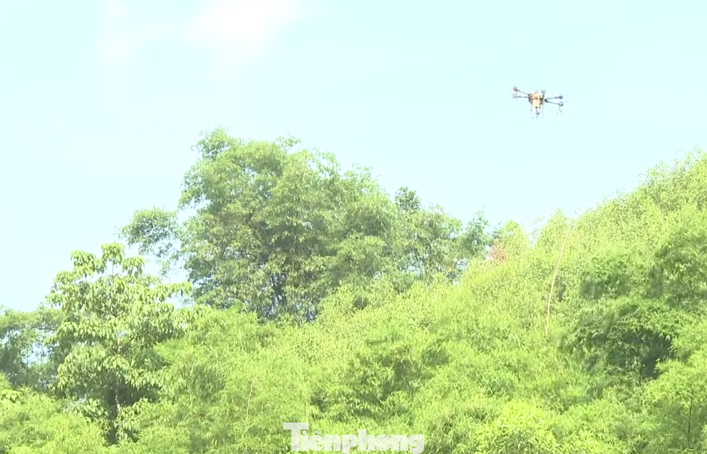 Cơ quan chức năng đang tiến hành phun thuốc bằng flycam. Cơ quan chức năng đang tiến hành phun thuốc bằng flycam.