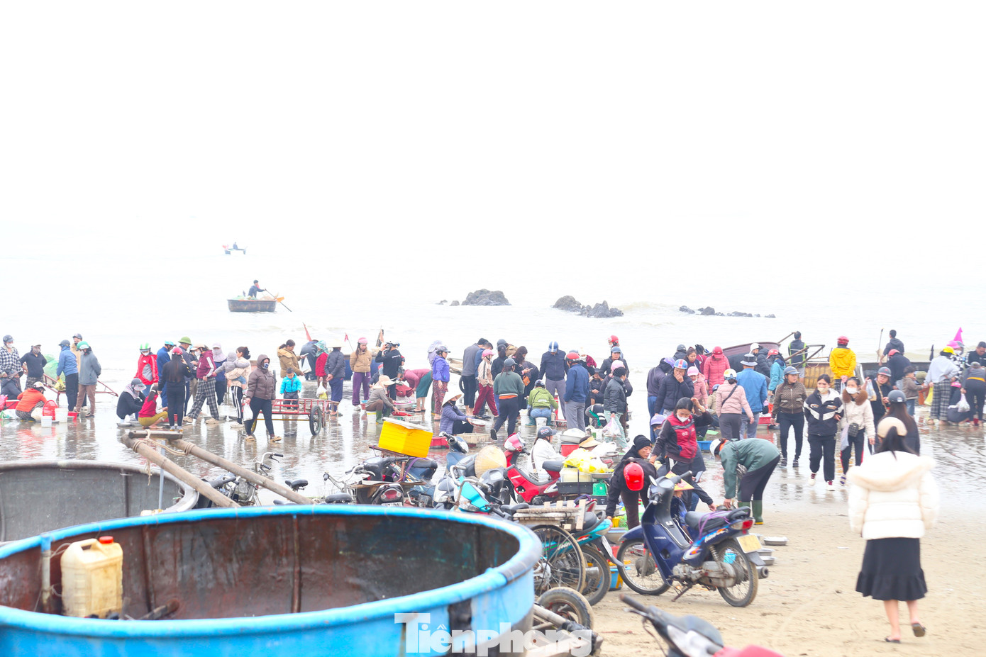 Khoảng hơn 6 giờ sáng, ven đảo Lan Châu, dọc bãi biển Cửa Lò (Nghệ An), những chiếc thuyền thúng của ngư dân trở về mang theo đầy ắp cá, tôm. Trên bờ, người dân và du khách đã chờ sẵn.